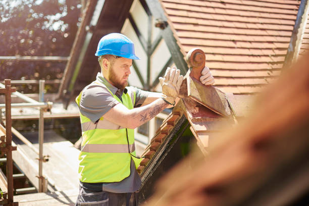Best Metal Roofing Contractor  in Maplewood, WA